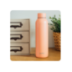 QUOKKA BOTELLA TERMO ACERO INOXIDABLE SOLID PASTEL PEACH 630 ML