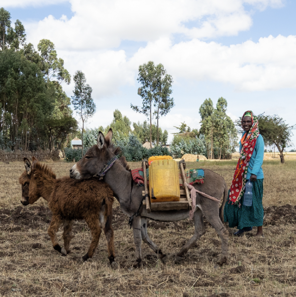 Beneficio: personas beneficiadas