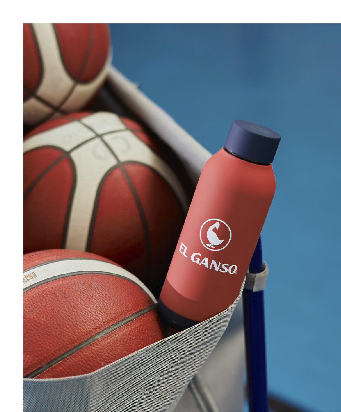 Quokka - Control total